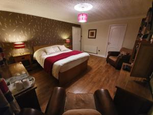 a bedroom with a bed and a couch and a chair at Craig Eithin B & B in Holyhead