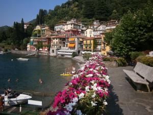 a bunch of flowers on the side of a river at CASA IN RIVA AL LAGO in Varenna