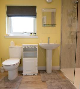 a bathroom with a toilet and a sink and a shower at taigh beag in Fort William