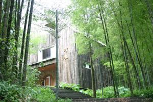 a house in the middle of a forest at Shante Hotel Shitou in Lugu