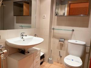 Salle de bains dans l'établissement Apartamentos Canillo Ribagrossa 3000