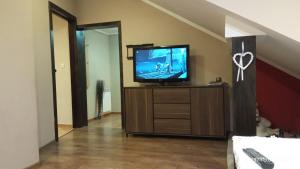 Telewizja i/lub zestaw kina domowego w obiekcie Apartament w domu na wsi