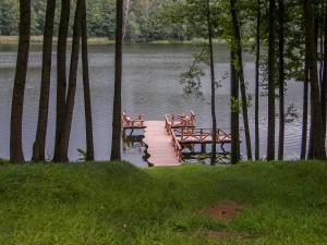 a dock with picnic tables and benches on a lake at Bilso Sodyba in Vilkanastrai