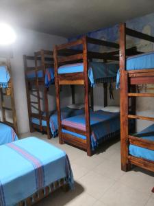 a room with four bunk beds with blue sheets at Hostal Oaxaca Magic in Oaxaca City