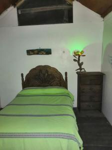 um quarto com uma cama com um cobertor verde em Hostal Oaxaca Magic em Oaxaca de Juárez