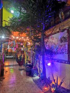 Gallery image of Hostal Oaxaca Magic in Oaxaca City