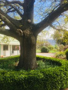 Příroda nedaleko farmy