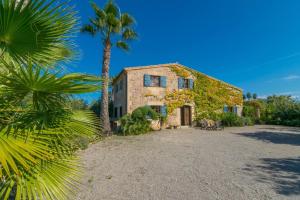 an old house with a palm tree in front of it at Mercader in Alcudia
