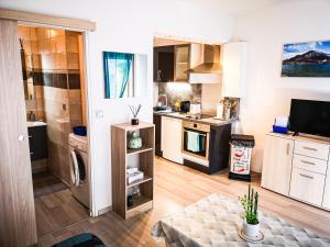 a small kitchen with a stove and a microwave at Léman Holidays - Appartement Hyper centre in Thonon-les-Bains