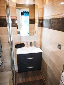 La salle de bains est pourvue d'un lavabo et d'un miroir. dans l'établissement Léman Holidays - Appartement Hyper centre, à Thonon-les-Bains