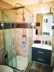 een badkamer met een douche en een wastafel bij Léman Holidays - Appartement Hyper centre in Thonon-les-Bains