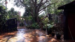 un jardín con un árbol y muchas plantas en Flia Ocampo en Puerto Iguazú