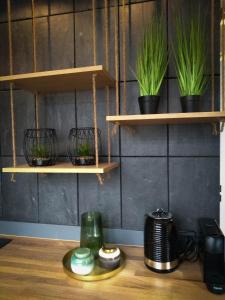 a room with wooden shelves with plants on them at Apartament Skandynawski Sienkiewicza 13 in Kielce