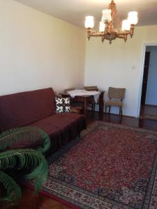 un soggiorno con divano e tavolo di Sara Apartman a Târgu-Mureş