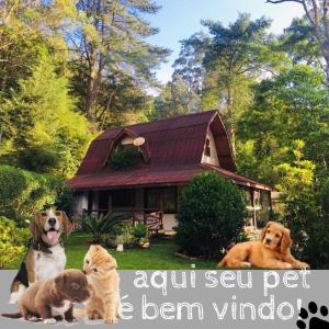 a group of dogs sitting in front of a house at Casa na Floresta em Campos do Jordao in Campos do Jordão