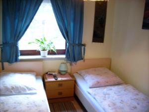 una camera con due letti e una finestra con tende blu di Dresden-Fewo-Huhle a Obernaundorf