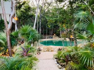 Gallery image of Nahouse Jungle Lodges in Tulum