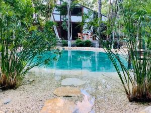 a swimming pool in front of a house with plants at Nahouse Jungle Lodges in Tulum
