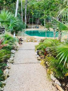 Un jardín fuera de Nahouse Jungle Lodges