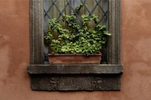 オルヴィエートにあるAppartamento LaRosaの窓枠の鉢植え窓