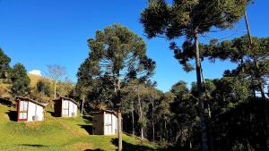 um grupo de cabanas numa colina com árvores em Robinson Cottage Monte Verde MG em Monte Verde