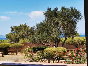 Fotografie z fotogalerie ubytování VILLA BELLA VISTA v destinaci Sant Francesc Xavier