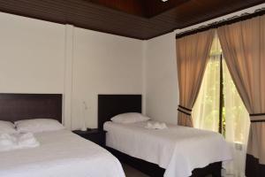 1 dormitorio con 2 camas y ventana en Cabañas Green House, en San Vito