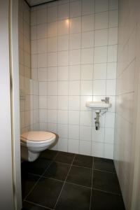 a bathroom with a toilet and a sink at Vakantie-Oord "De Hulsdonken" in Bergeijk