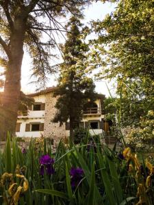 un jardín con flores púrpuras frente a una casa en Casa mansa en Unquillo