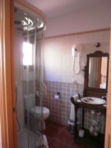 a bathroom with a shower and a toilet and a sink at Hostal El Olmo in Camarena de la Sierra