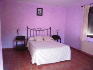Кровать или кровати в номере Hostal El Olmo