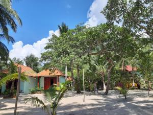 a house with trees in front of it at Kiki Coconut Beach Resort in Phu Quoc