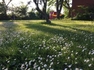 Taman di luar B & B Langagergaard