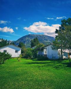 a group of buildings in a field with a mountain at Apartman Zorana in Bar