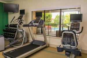 a fitness room with a treadmill and a balcony at Holiday Inn Express Hotel & Suites Greenville, an IHG Hotel in Greenville