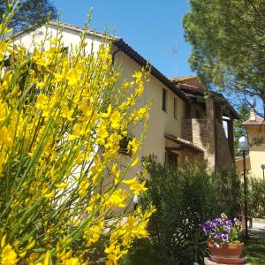 un giardino con fiori gialli di fronte a una casa di Agriturismo La Ginestrella a Civitella D'Arna