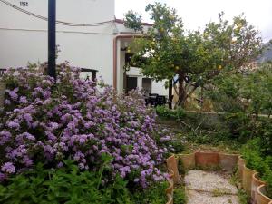 A garden outside Sa Corte Antiga