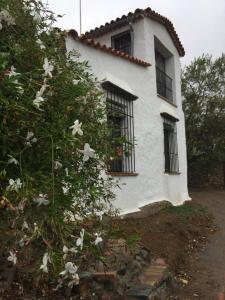Budova, kde se the country house nachází