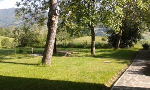 a group of trees in a field of grass at Agriturismo Coradosso "La casetta" in Selvapiana