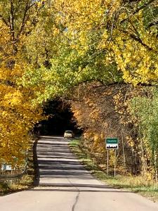 Afbeelding uit fotogalerij van Willa Hańcza in Smolniki +51 foto's