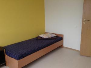 een kleine slaapkamer met een bed in een kamer bij Hostelis Zaļā muiža in Zaļenieki
