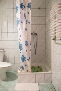 a bathroom with a shower with a shower curtain with blue flowers at Zosienka - pokoje gościnne in Wisła