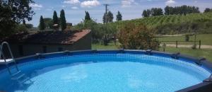 a large blue swimming pool in a yard at Casa Marta in Pitigliano