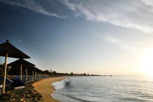 a beach with a row of umbrellas and the ocean at Saint George Hotel in Chrissi Akti