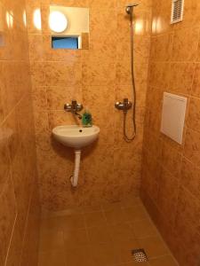 Rooms & Apartments Novohrad tesisinde bir banyo