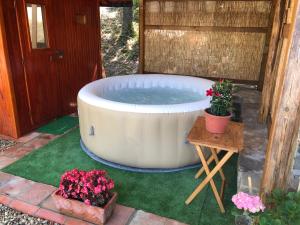 Fotografie z fotogalerie ubytování Casa Al Bosco v destinaci SantʼEllero