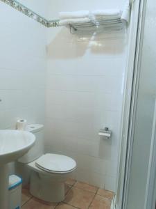 a white bathroom with a toilet and a shower at Casa Rural Nestazar II in Berceo