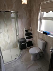 uma casa de banho com um chuveiro e um WC. em White Mountain Cottage em Newry
