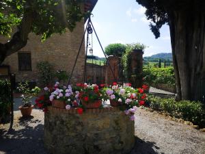 Zahrada ubytování Il Casale Del Cotone