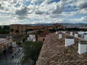 vistas a la ciudad desde el techo de un edificio en ARRECIFE, GARAJE Y WIFI GRATIS JUNTO PUENTE ROMANO, en Córdoba